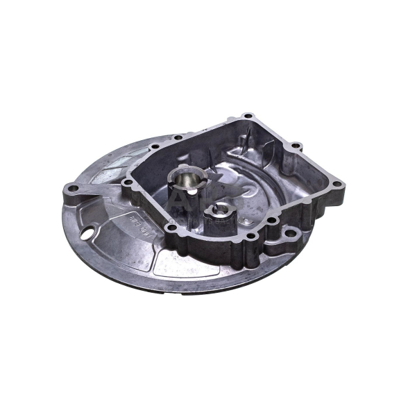 Karteris Briggs & Stratton 450E, 500 590569 5