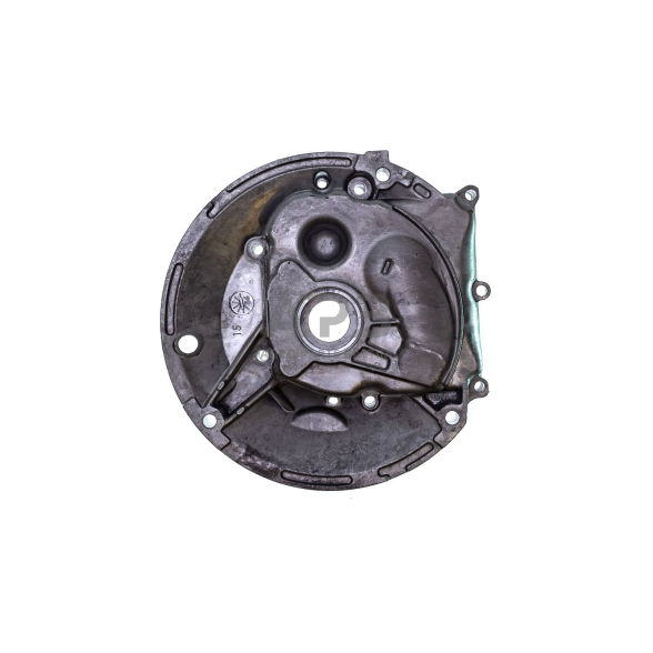 Karteris Briggs & Stratton OHV 594101 7