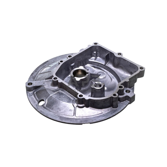 Karteris Briggs & Stratton OHV 594101 8