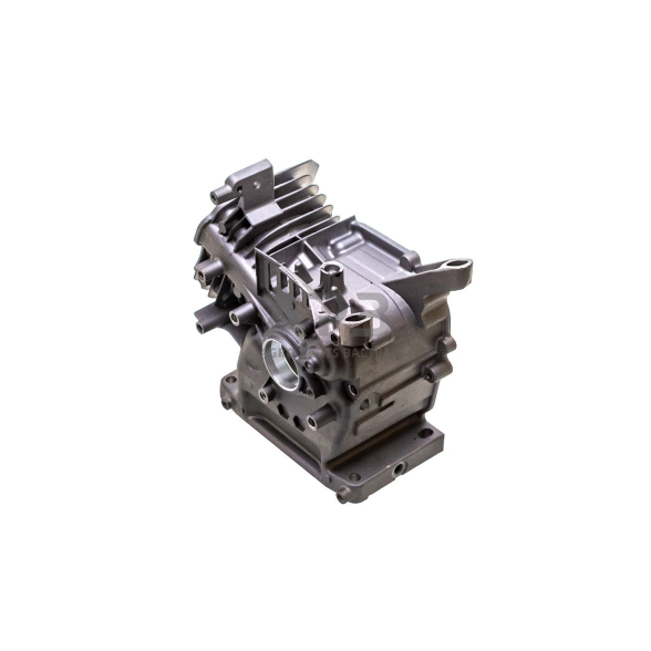 Karteris HONDA GX160, 12000-ZF1-902, 12000ZF1902 5