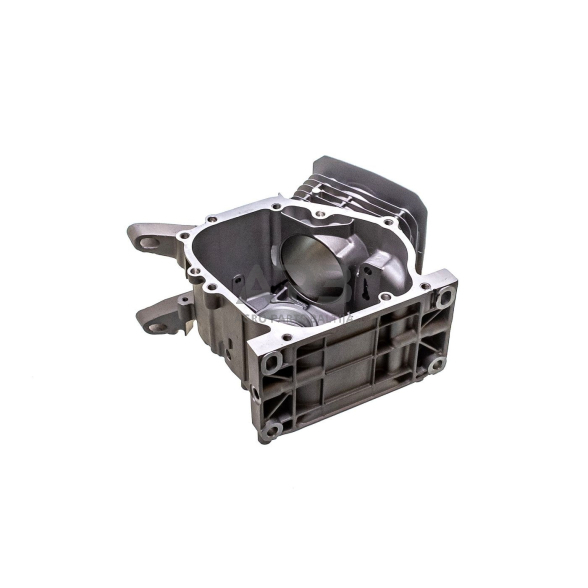 Karteris HONDA GX160, 12000-ZF1-902, 12000ZF1902 6