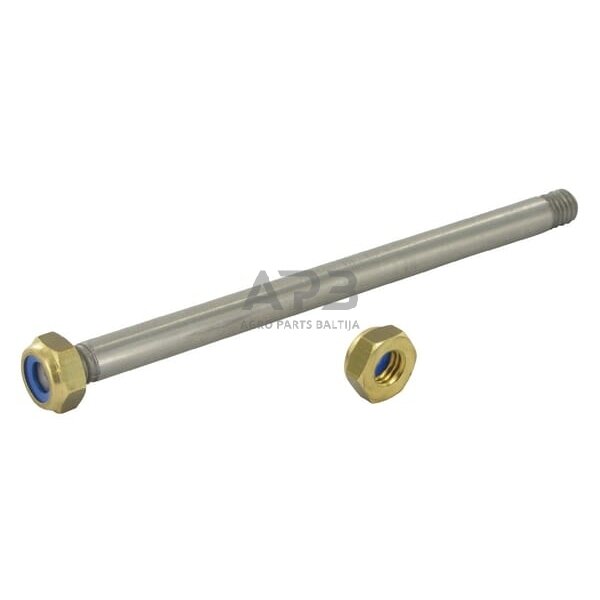 Kaištis Suevia SU1020257 Kaištis Suevia SU1020257