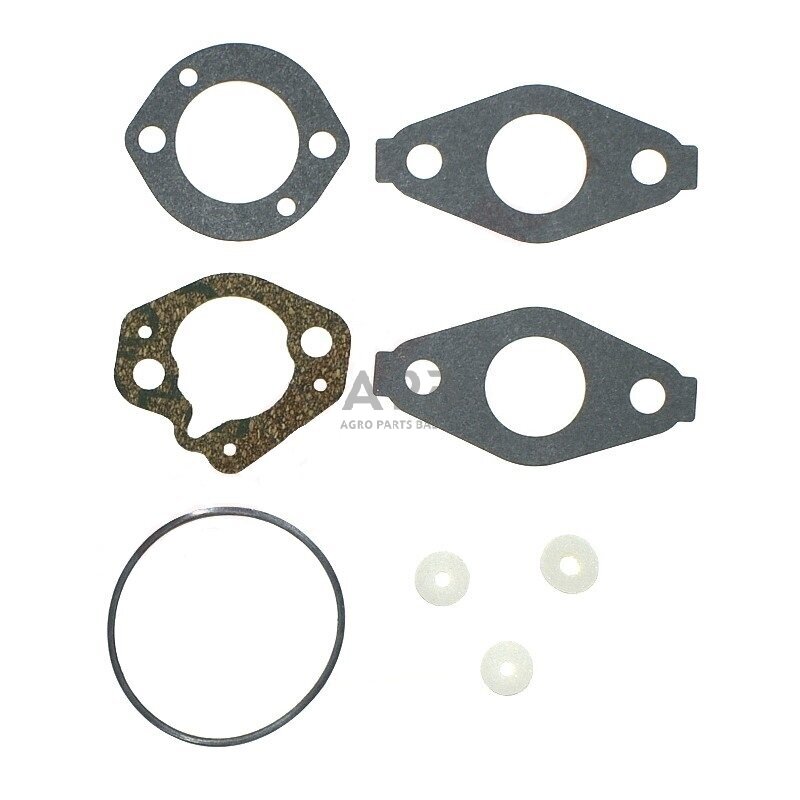 Karbiuratoriaus remontinis komplektas BRIGGS & STRATTON 697001 Karbiuratoriaus remontinis komplektas BRIGGS & STRATTON 697001