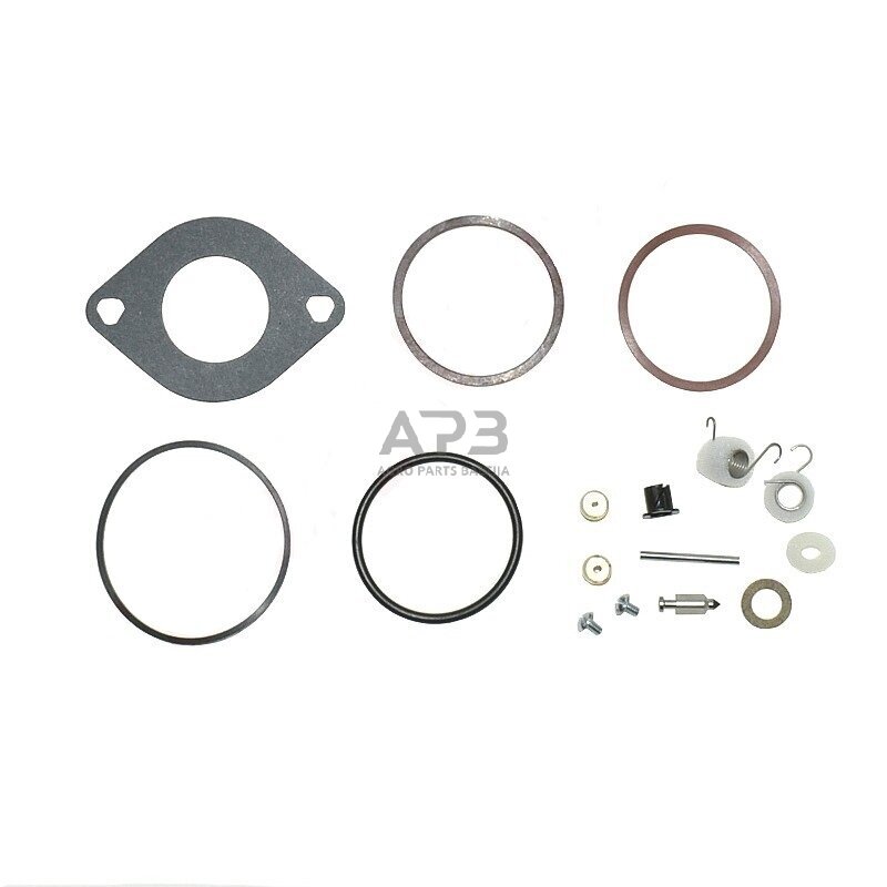 Karbiuratoriaus remontinis komplektas BRIGGS & STRATTON 697154, 697241