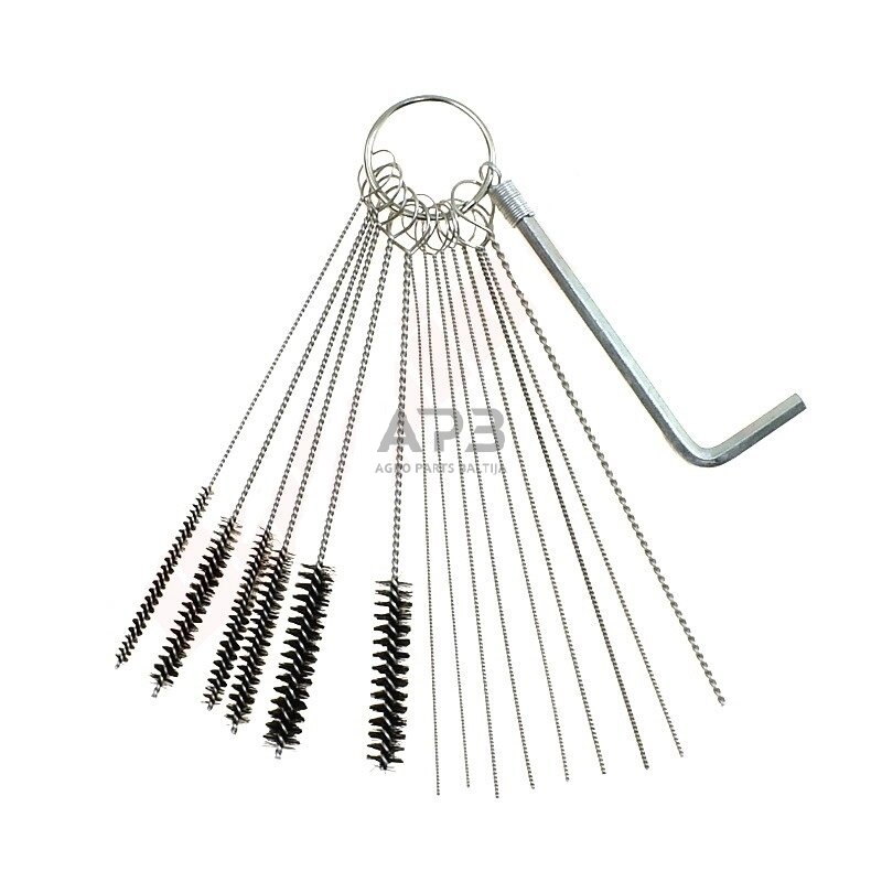 Karbiuratorių valymo rinkinys E12