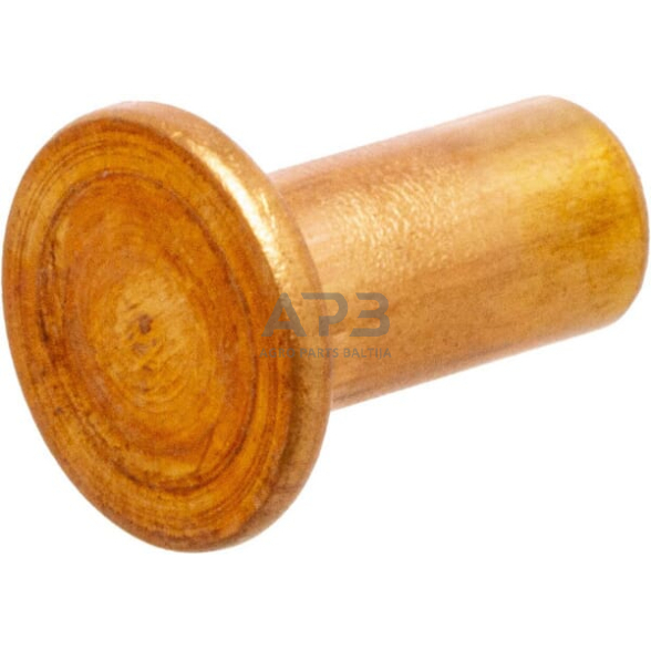 Kniedė 4x8 BBN48 Kniedė 4x8 BBN48