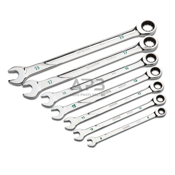 Kombinuotų raktų su terkšle rinkinys 7vnt. (8-19mm) 120XP 1