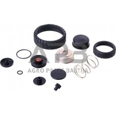 Kuro pompos remontinis komplektas 1492685KR