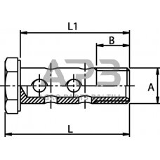 Kuro žarnos varžtas dvigubas M12x1,5 HBM12D