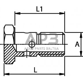 Kuro žarnos varžtas M10x1 HBM10