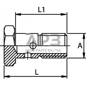 Kuro žarnos varžtas M12x1,5 HBMF12