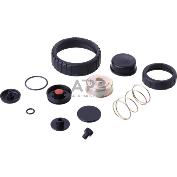 Kuro pompos remontinis komplektas 1492685KR Kuro pompos remontinis komplektas 1492685KR