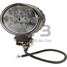 LED darbo žibintas ovalus 36W, 2760lm, 10/30V, 144x85x95mm, 12 LED LA10060