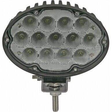 LED darbo žibintas ovalus 65W, 5200lm, LA10432 3