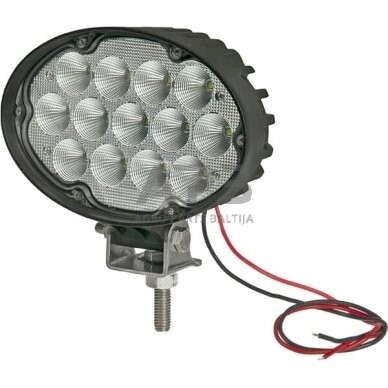 LED darbo žibintas ovalus 65W, 5200lm, LA10432