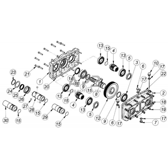Multiplikatorius, kampinis reduktorius Brorelli GBF30D135 GBF-30-D-1-3.5 2 Multiplikatorius, kampinis reduktorius Brorelli GBF30D135 GBF-30-D-1-3.5 2