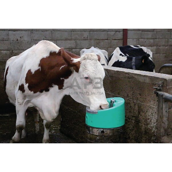 Neužšąlanti girdykla LA BUVETTE Stalcho 2 (24V/50W), BU1641 1 Neužšąlanti girdykla LA BUVETTE Stalcho 2 (24V/50W), BU1641 1