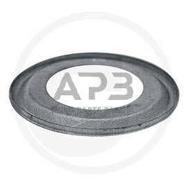 Nilos žiedas FAG 6006-AV Nilos žiedas FAG 6006-AV