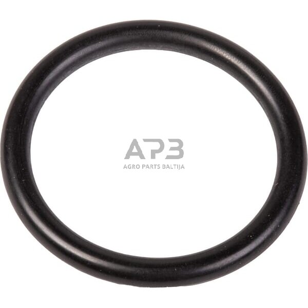 O žiedas 31x4mm UDOR UD1101L5