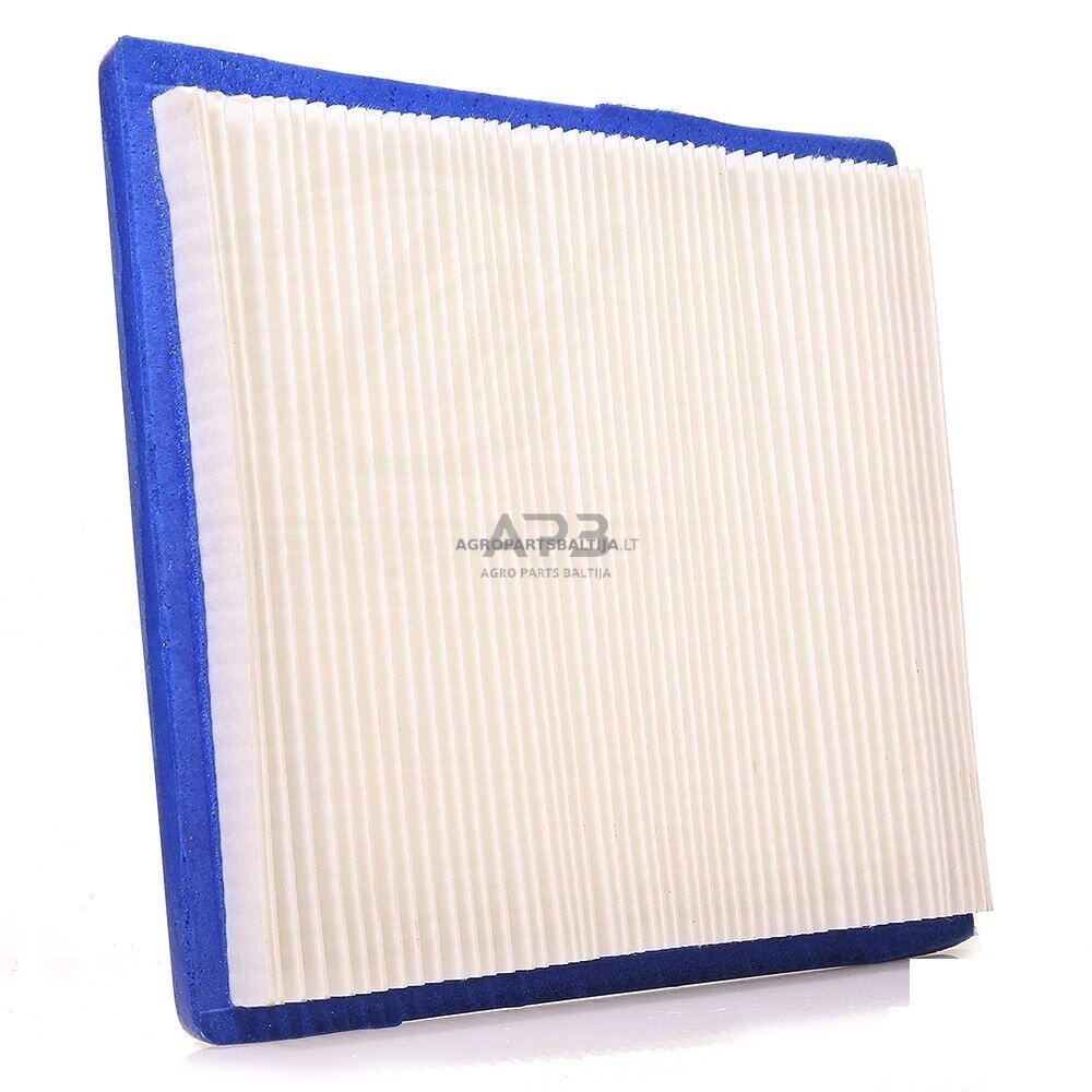 Oro filtras Briggs & Stratton nuo 12AG iki 16AG VANGUARD, V twin OHV 805113
