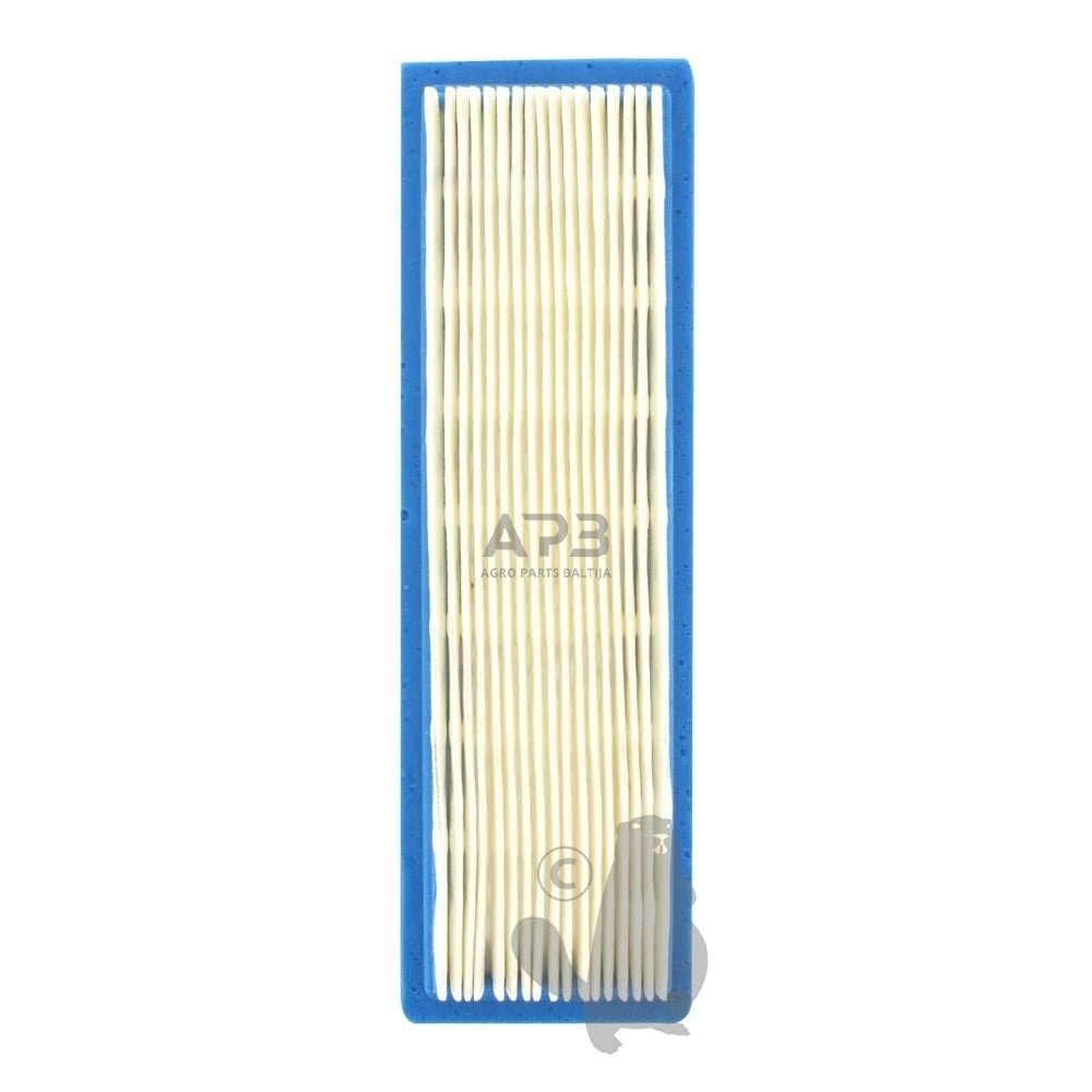 Oro filtras Tecumseh Premier, 23410044, išmatavimai 180 x 55 x 28 mm