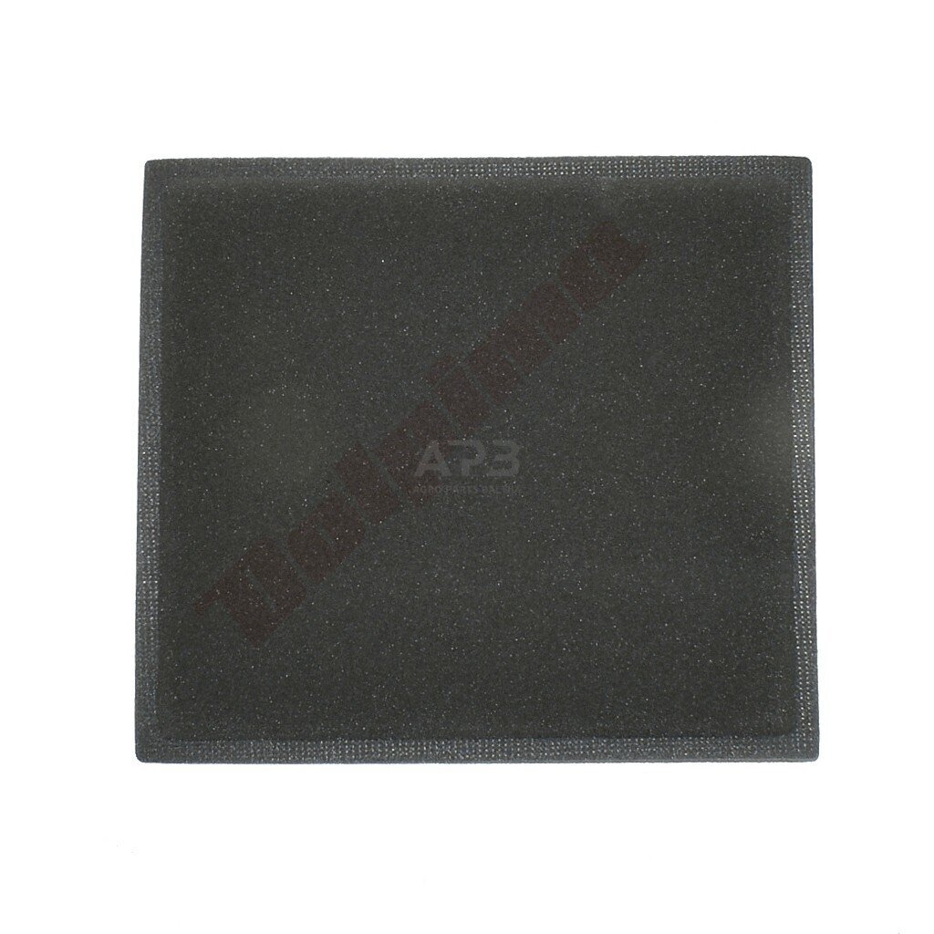 Priešfiltris Briggs & Stratton 805267