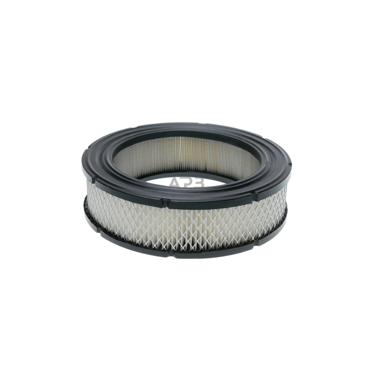 Oro filtras Briggs & Stratton dviejų cilindrų V-twin VANGUARD 692519, 806232 2