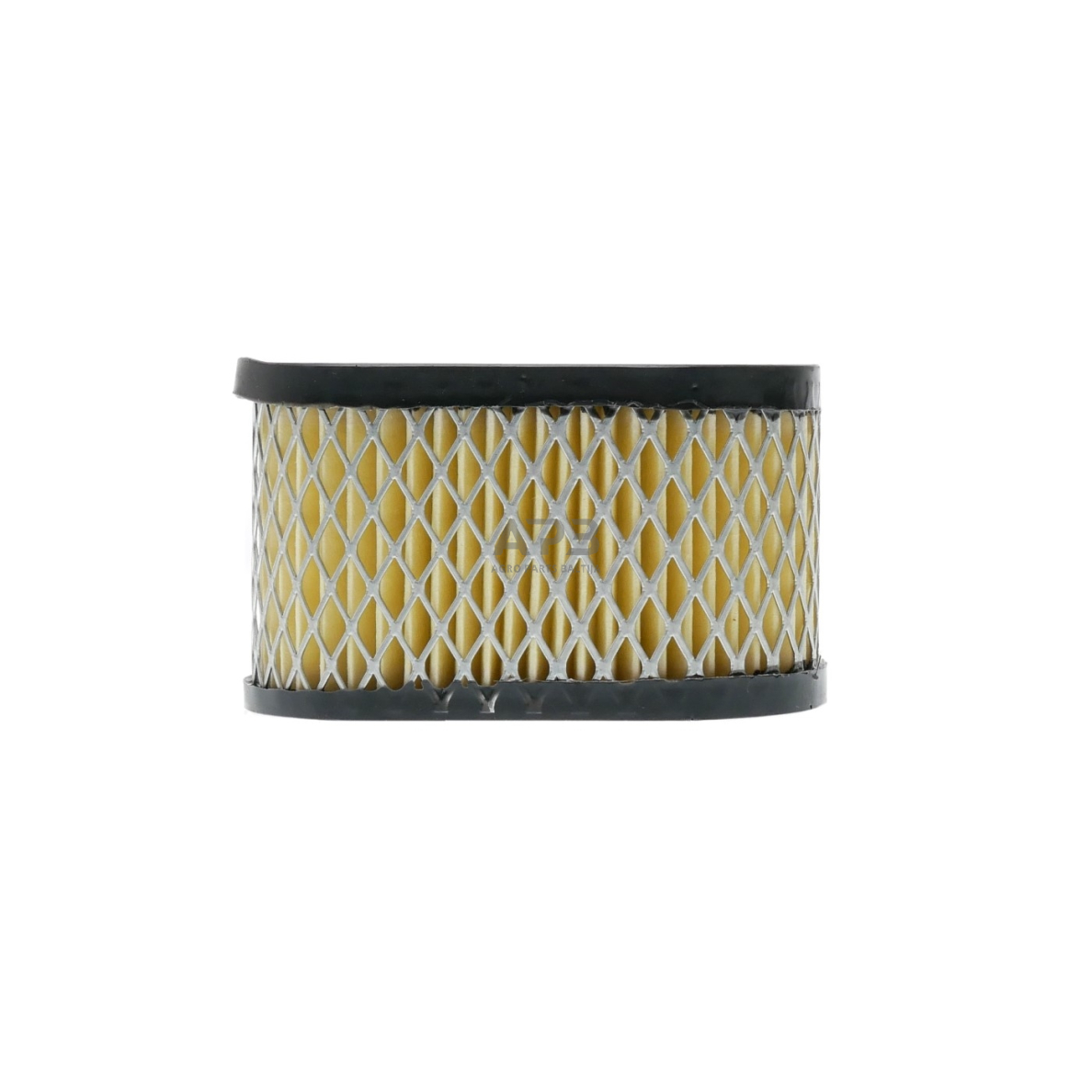 Oro filtras Briggs & Stratton nuo 5AG iki 6AG QUANTUM, EUROPA, OHV 494586, 497725 4