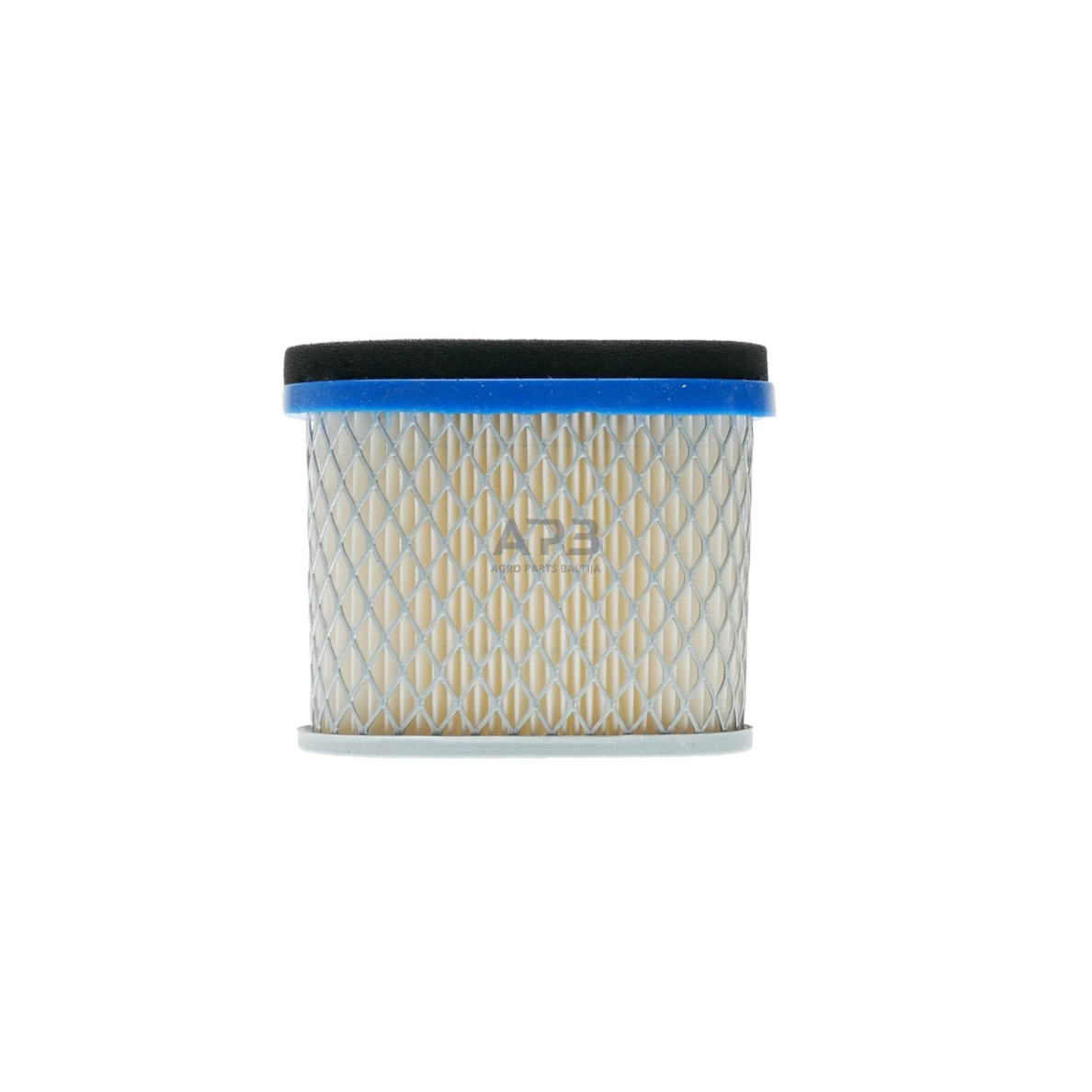 Oro filtras Briggs & Stratton nuo 6AG iki 6,5AG Quantum, INTEK 692446, 692496 4