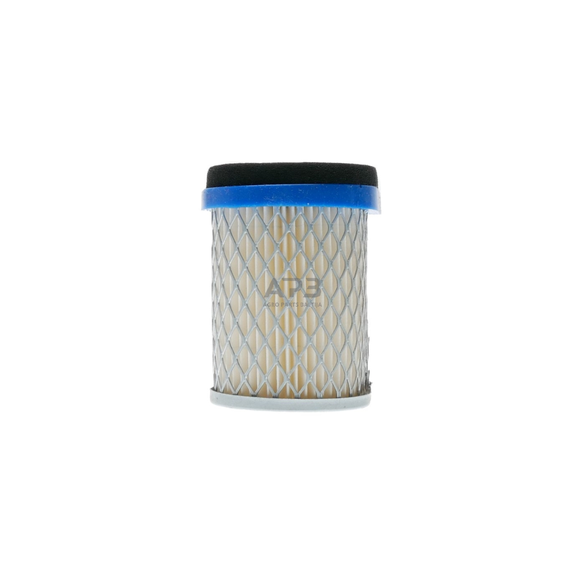 Oro filtras Briggs & Stratton nuo 6AG iki 6,5AG Quantum, INTEK 692446, 692496 7