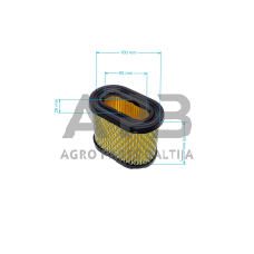 Oro filtras Briggs & Stratton nuo 5AG iki 6,5AG INTEK PRO 498596, 690610, 697029, 690106, 697029