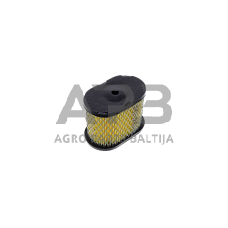 Oro filtras Briggs & Stratton nuo 5AG iki 6,5AG INTEK PRO 498596, 690610, 697029, 690106, 697029