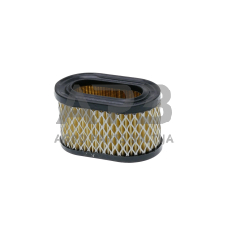 Oro filtras Briggs & Stratton nuo 5AG iki 6AG QUANTUM, EUROPA, OHV 494586, 497725