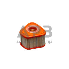 Oro filtras Briggs & Stratton SERIA 850, 597265