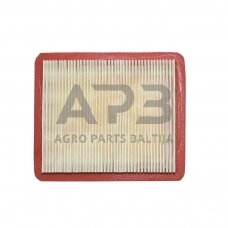 Oro filtras Honda GCV190 išmatavimai mm: 134x113x22 17211-Z8B-901, 17211Z8B901