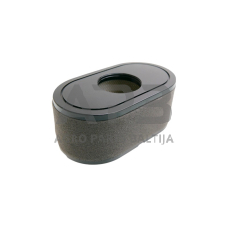 Oro filtras Loncin LC2P73F, LC2P76F 180100123-0001, 180100123-T465