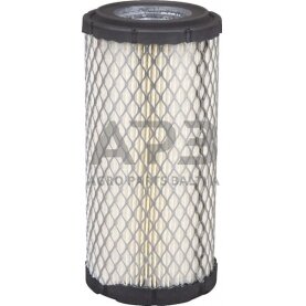 Oro filtras AF25550 Oro filtras AF25550