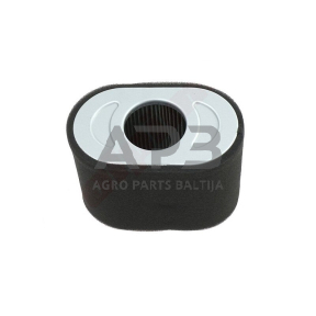 Oro filtras Briggs & Stratton 797032