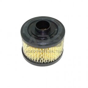 Oro filtras Briggs & Stratton 270209, 496047