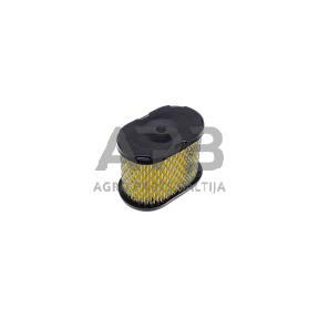 Oro filtras Briggs & Stratton nuo 5AG iki 6,5AG INTEK PRO 498596, 690610, 697029, 690106, 697029