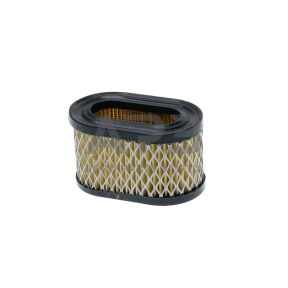 Oro filtras Briggs & Stratton nuo 5AG iki 6AG QUANTUM, EUROPA, OHV 494586, 497725