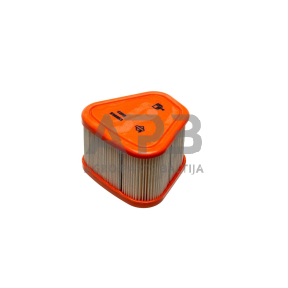 Oro filtras Briggs & Stratton SERIA 850, 597265