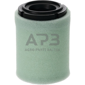 Oro filtras Kohler CV173, CV200, CV224