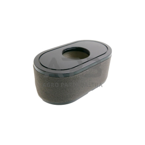 Oro filtras Loncin LC2P73F, LC2P76F 180100123-0001, 180100123-T465