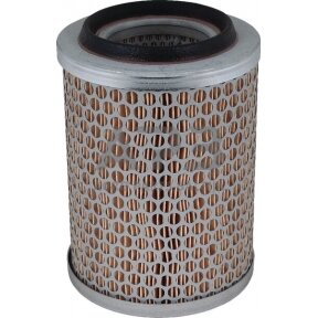 Oro filtras MANN-FILTER C1396