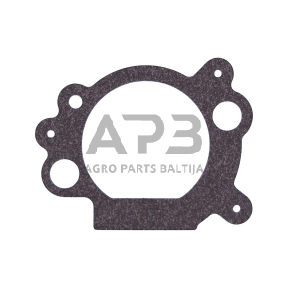 Oro filtro tarpinė Briggs & Stratton: 110000, 111000, 692667