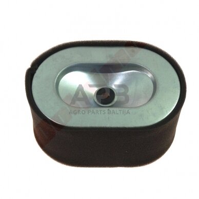 Oro filtras YANMAR L100 114650-12590, 11465012590