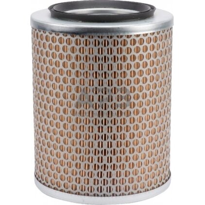 Oro filtras MANN-FILTER C17134 Oro filtras MANN-FILTER C17134