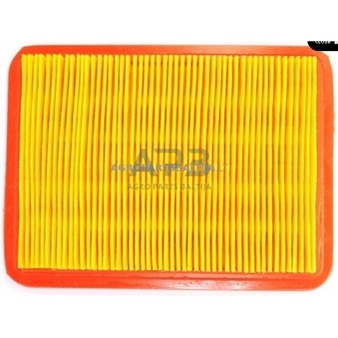 Oro filtras GGP, išmatavimai 168 x 125 x 24 mm Oro filtras GGP, išmatavimai 168 x 125 x 24 mm