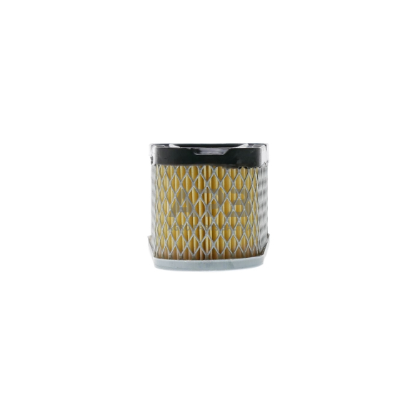 Oro filtras Briggs & Straton nuo 8,5AG iki 12AG žemas 493910, 691667 7